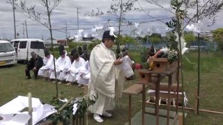 玉前神社　平成28年4月29日　御田植祭１