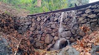 ഇന്നലെ പെയ്ത മഴയിൽ തോട് നിറഞ്ഞൊഴുകിയപ്പോൾ