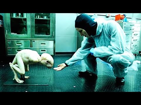 15 Hybrid Animals Created By Scientists You Won T Believe Exist Youtube 15 Hybrid Animals Created By Scientists You Won T Believe Exist Youtube