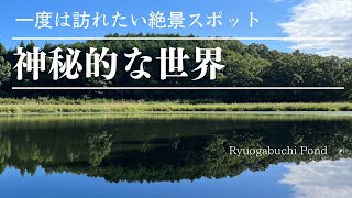 【堀越神社】龍神が棲む美しい池✨絶対に行くべし‼️