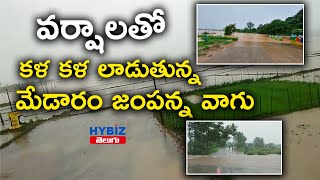 వర్షాలతో కళ కళ లాడుతున్న మేడారం జంపన్న వాగు | Heavy Rains at Medaram