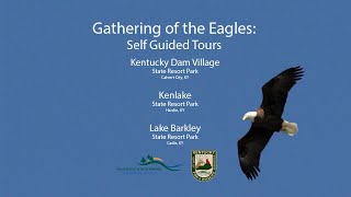 Plan Your Own Winter Wildlife Adventure