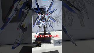 ストライクフリーダムガンダム✨ガンダムSEED メタルビルド