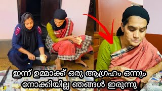 ഞങ്ങളുടെ വീട്ടിലെ കുഞ്ഞു സന്തോഷങ്ങൾ ഇതൊക്കെയാണ് |നാട്ടിൻപുറത്തെ ഇഷ്ടവിഭവം | family vlog |villagelife