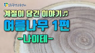 계절이 담긴 이야기, 여름나무_나이테