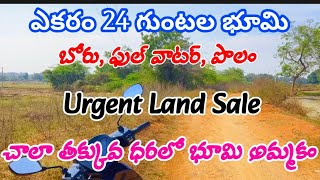 1 Acre 24 Gunta Agriculture land for Sale In Siddipet // Urgent land for sale // Very Lowest Price