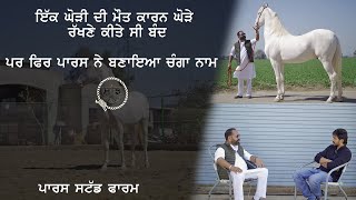 Paras Stud Farm | Bhullar | Saffran Te .. EP-19 | Saanjh Dil Ton Dilan Di