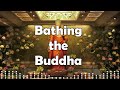 bathing the buddha by dharma master jingtung