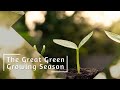 The Great Green Growing Season - Invited to Believe