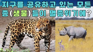 지구를 공유하고 있는 모든 종( 생물)들이 멸종위기에? #동물 #야생동물 #코끼리 #흰 코뿔소 #animal #멸종위기종