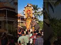 പന്തല്ലൂർ പൂരകഴ്ചകൾ.... 🙏 templesviewschannel pooram elephant pooramvibes