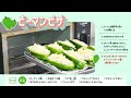 【県産食材レシピ】ピーマンピザ