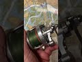 avet sxj lever drag fishing reel of the day fishing fish