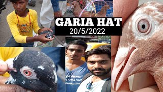 GARIA PIGEON MARKET || SABSE SASTA KABOOTAR MARKET IN KOLKATA #kolkatapigeonsunny