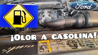 🏝🚘 Causas que pueden provocar olor a combustible (gasolina) en una FORD F-150  🚘🏝