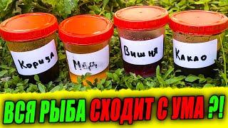 Вся рыба СХОДИТ С УМА от ТАКИХ АРОМАТИЗАТОРОВ! Как сделать АРОМАТИЗАТОР для РЫБАЛКИ СВОИМИ РУКАМИ?!