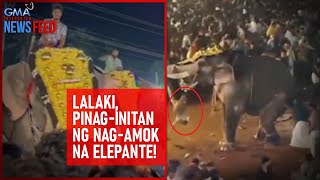 Lalaki, pinag-initan ng nag-amok na elepante! | GMA Integrated Newsfeed