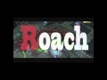 GSL Learn Korean - Roach