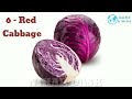 14 types of cabbage