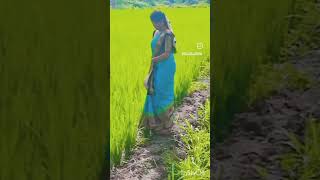 🥰வயல் வரப்பில் ஒரு தடவ நடந்து பாருங்க 😘#reels #love #sparkle #tamil #shortvideo