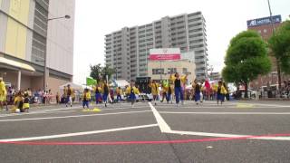 一宮七夕祭り２０１７　鳴子踊りイベント　【Team一豊】②