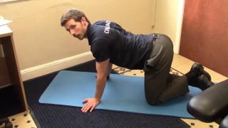 Long Head Of Biceps And Lev-Scap Quadruped Activation