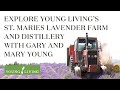 Visit Young Living Lavender Farm's in St. Maries, Idaho