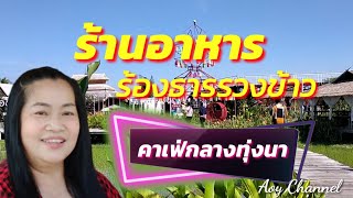 ร้องธารรวงข้าว@aoybycooking