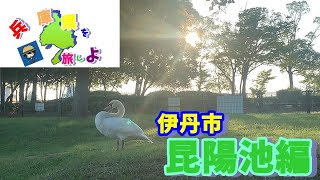 【兵庫県を旅しよ】3つの絶景池巡り。日本列島がある昆陽池編　【衝撃・・・ミミズ大発生】