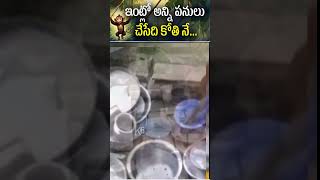 ఇంట్లో అన్ని పనులు చేసేది కోతి నే...#k6news #trending #viralvideo #k6shorts #latestnews #yshorts