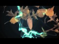 Code Indigo The MELdown Concert DVD extract 3