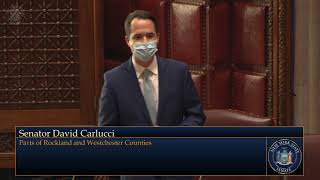 Senator Carlucci Passes Bill to Help Combat Hate With Education Change