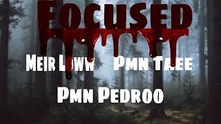 Meir Loww ft pmn Taee \u0026 Pmn pedroo - Focused