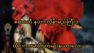 ဧရာဝတီနယားလိုနာမည်းကြီးထိုင်းနယားလေး/Aung love family