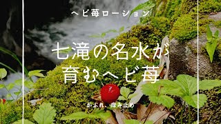 河津七滝の名水が育むヘビ苺ローション