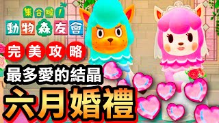 【集合啦！動物森友會】67-六月婚禮完美攻略 / 如何拿到最多的心 / 愛的結晶？(Animal Crossing) (2020)