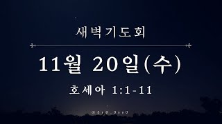 대광교회 새벽기도회 24-11-20 호세아 1장 1~11절