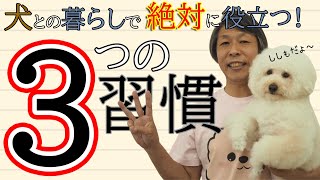 【犬 しつけ】犬との暮らしがさらに安全になる 3つの新習慣を教えよう！