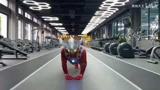 【ウルトラマンレオ】What happens when Leo comes to the gym? #ウルトラマンレオ #ultraman