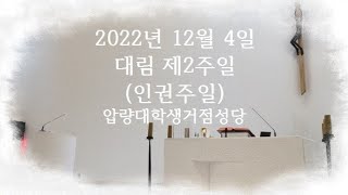 20221204 대림 제2주일 미사