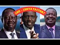 Shock Wave in Kenya: Can Luo & Luhya Unite to Propel Ruto to Presidency After Mount Kenya's Revolt?