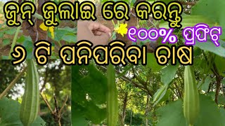 ବର୍ଷା ଦିନିଆ ପନିପରିବା ଚାଷ ll Vegetable Farming #vegetables 🥕 🥒🍆 # Odia Vlog #farming