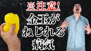 金玉がねじれる超痛い病気を解説します【男は要注意！】