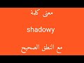 معنى كلمة shadowy مع النطق الصحيح