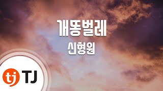 [TJ노래방 / 멜로디제거] 개똥벌레 - 신형원 / TJ Karaoke