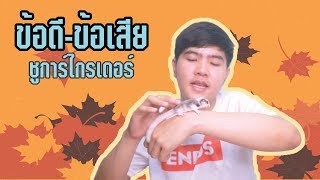 SUNSKY | ข้อดี-ข้อเสียของชูการ์ไกรเดอร์  ไหวไหมเนี่ย