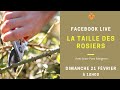 Direct facebook  : La taille des rosiers