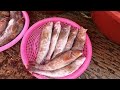 소래포구 아침9시 뭔일이래 생낙지 단돈2500원 낙지 해산물 광어 활어 난전시장 outdoor fish market in soraepo gu south korea