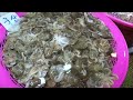 소래포구 아침9시 뭔일이래 생낙지 단돈2500원 낙지 해산물 광어 활어 난전시장 outdoor fish market in soraepo gu south korea