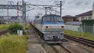 [EF66サメ代走] 9月27日吉原駅 新鶴見A275運用 3075レ EF66 126